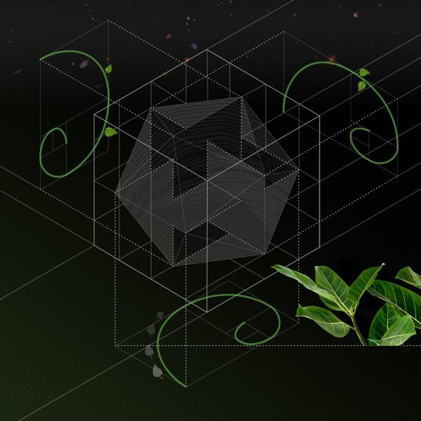 Plakat Treibhaus 5 - Ausschnitt - Ikosaeder