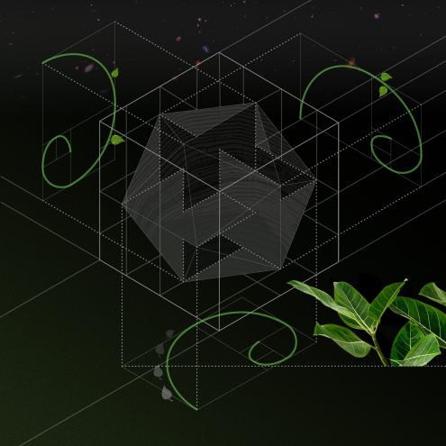 Ikosaeder (Ausschnitt aus Plakat)